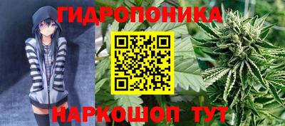 apvp Будённовск